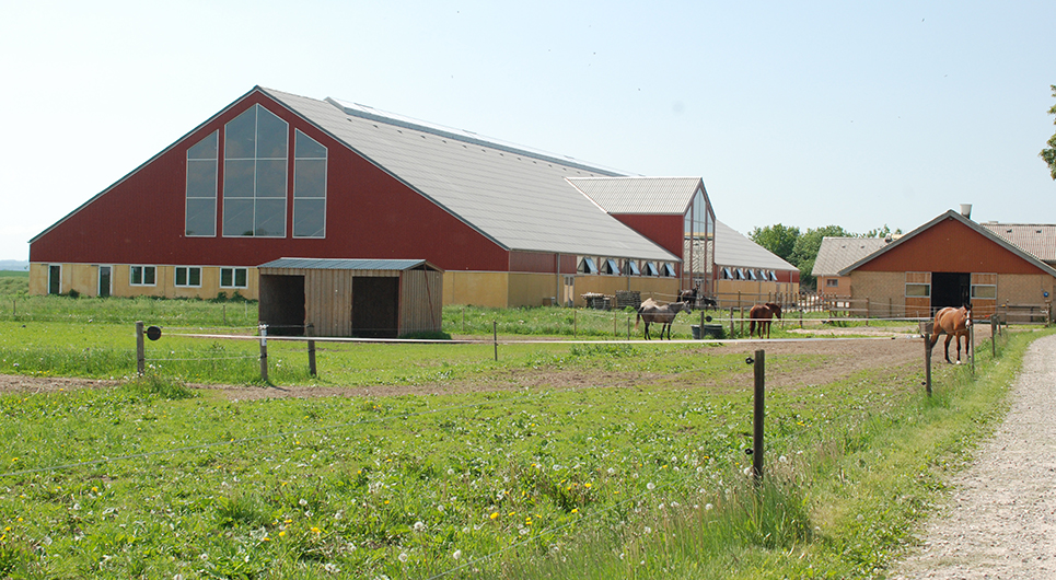Besøg skolen i Roskilde - book en rundvisning