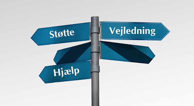 Vejledning