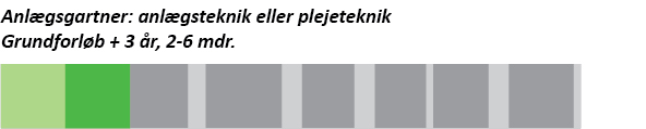 Grafik, der viser forløbet for uddannelsen til anlægsgartner - med speciale i anlægsteknik eller plejeteknik